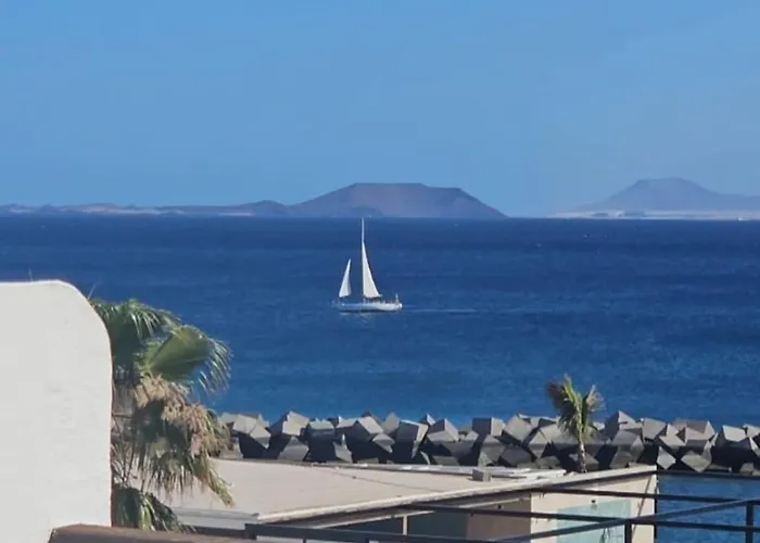 Vista Lobos Flamingo *