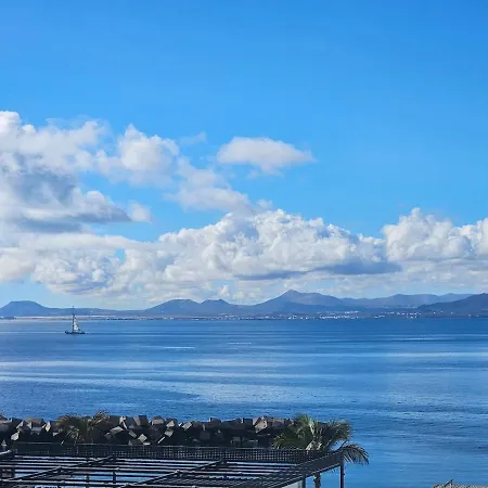 Vista Lobos Flamingo *