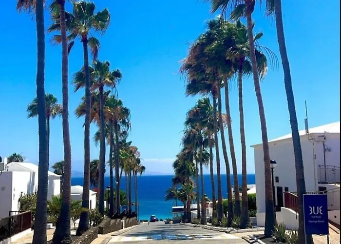 Vista Lobos Flamingo * 플라야블랑카